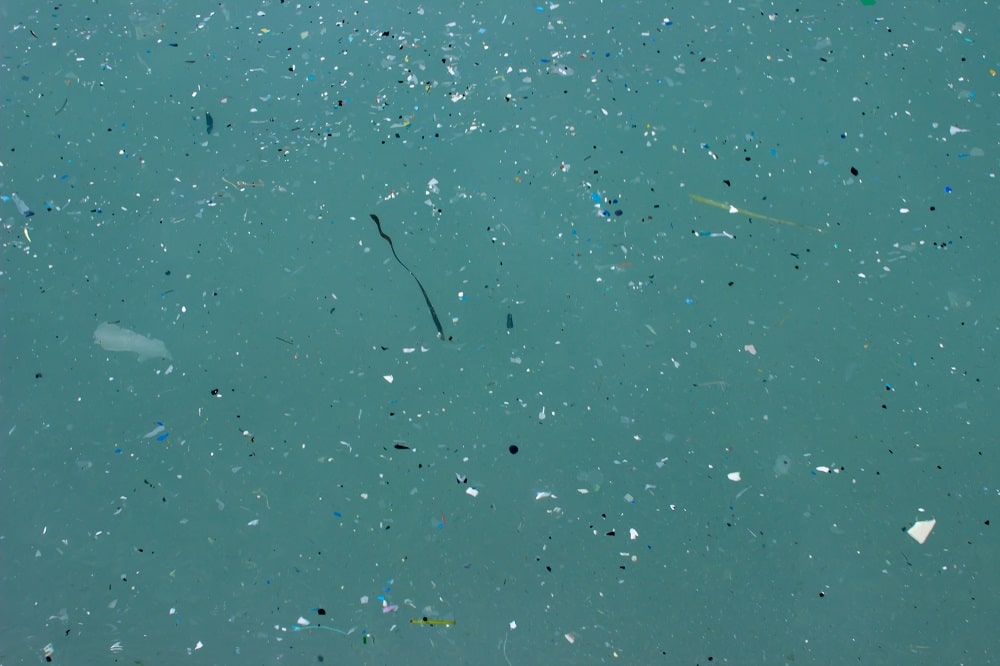 サムスン電子とパタゴニア、マイクロプラスチックによる海洋汚染の削減に向け提携