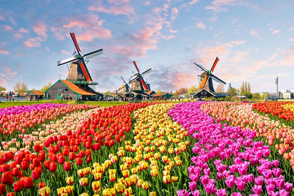オランダ、サーキュラーエコノミー移行による低・中所得国のリスクと機会を発表