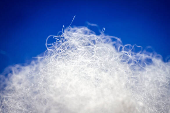 polyester fiber