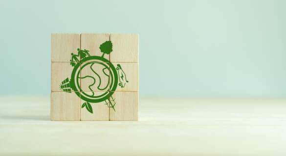 Circular Economy Policy