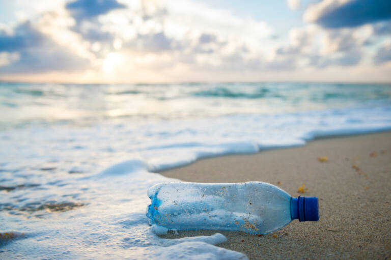 海とプラスチック