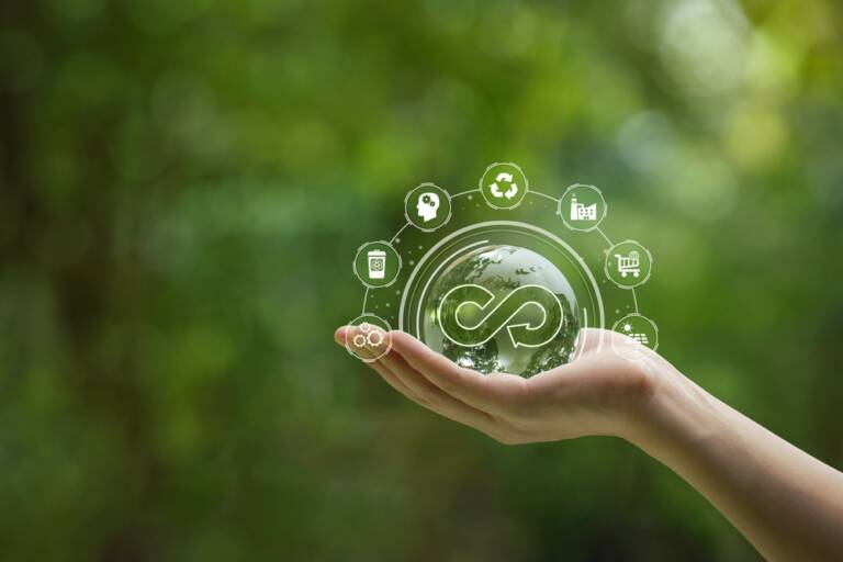 Circular economy product design
