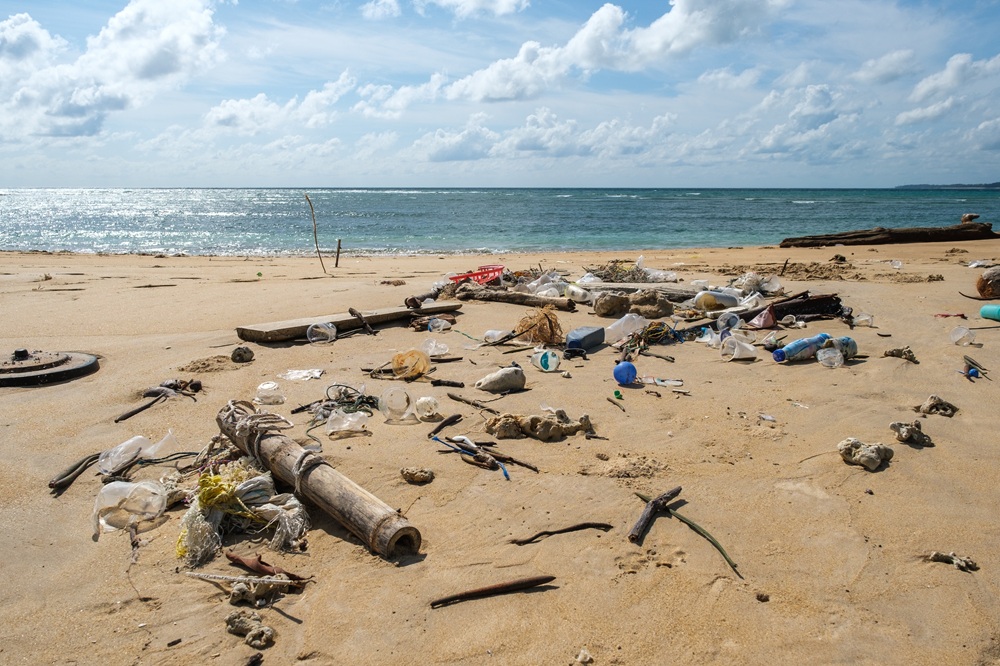 欧州委、使い捨てプラスチック指令の意見公募とエビデンス募集を開始
