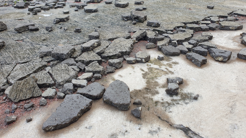 WEF「グローバルリスク報告書2026」から読み解く、分断の時代にサーキュラーエコノミーが果たす役割