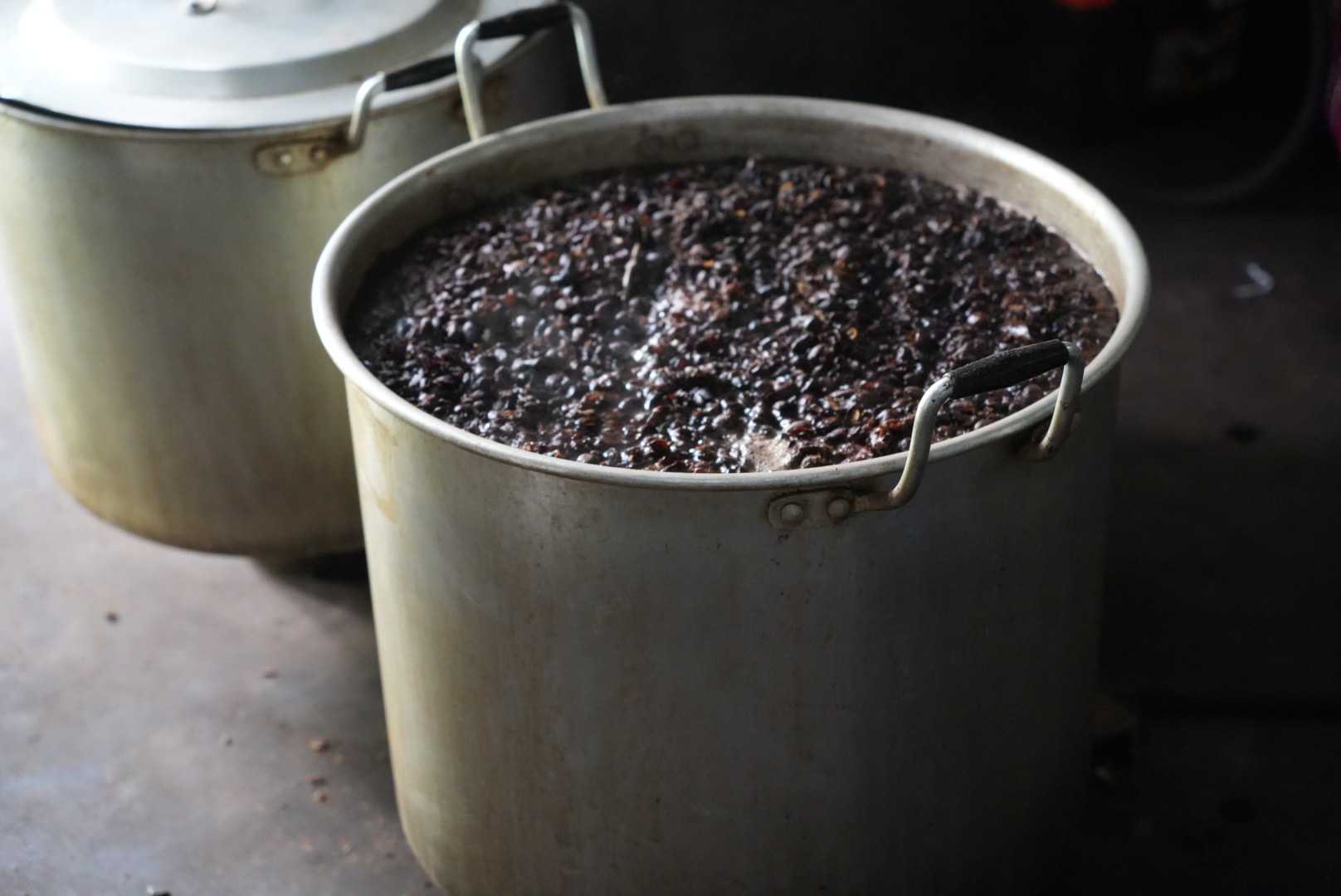 コーヒーパルプを発酵させるための前処理プロセス