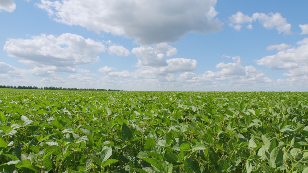 EU理事会、新バイオエコノミー戦略の結論を承認。循環経済と産業展開を加速へ