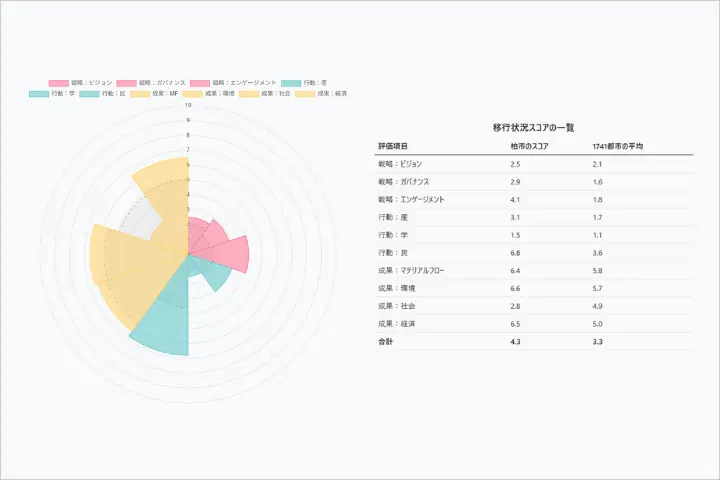 Circular City Transition Indicators chart
